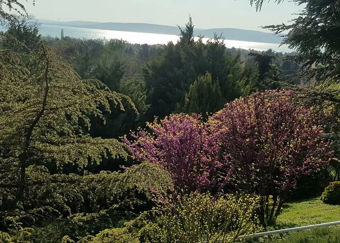 Mirador Balaton Design Villa